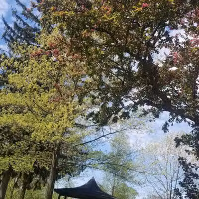 Bicentennial Park - Delaware, OH