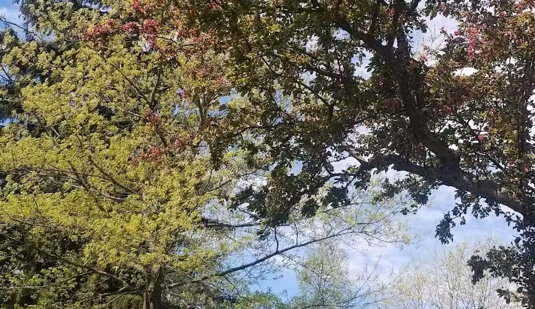 Bicentennial Park - Delaware, OH