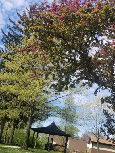 Bicentennial Park - Delaware, OH