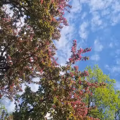 Bicentennial Park - Delaware, OH