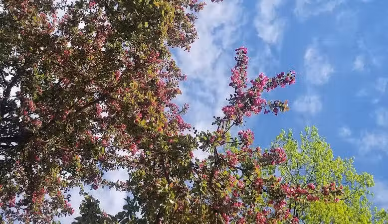 Bicentennial Park - Delaware, OH