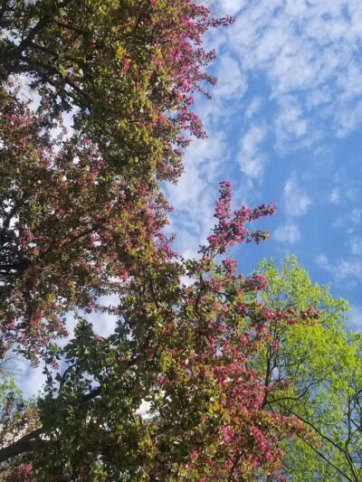 Bicentennial Park - Delaware, OH