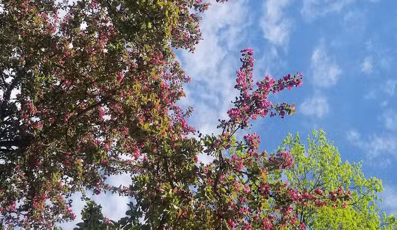 Bicentennial Park - Delaware, OH