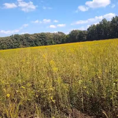 Boulder Park - Delaware, OH