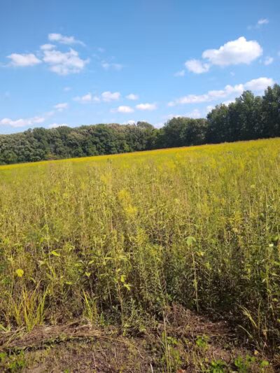 Boulder Park - Delaware, OH