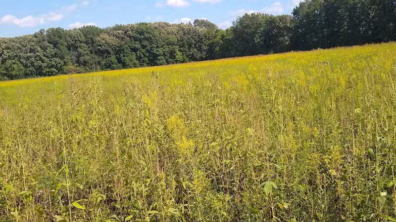Boulder Park - Delaware, OH