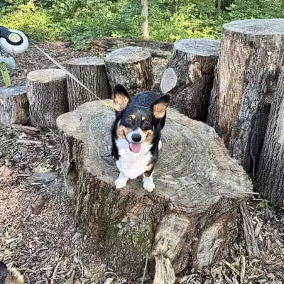 Boulder Park - Delaware, OH