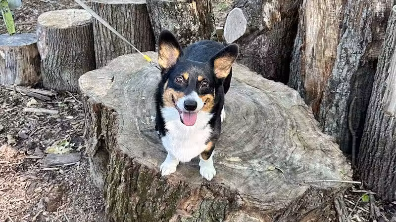 Boulder Park - Delaware, OH