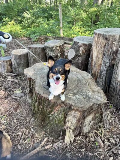 Boulder Park - Delaware, OH