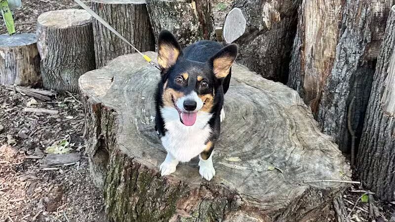 Boulder Park - Delaware, OH