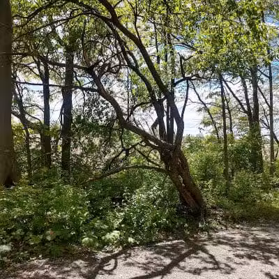 Boulder Park - Delaware, OH