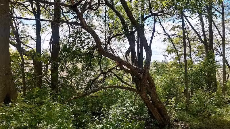 Boulder Park - Delaware, OH