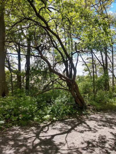 Boulder Park - Delaware, OH