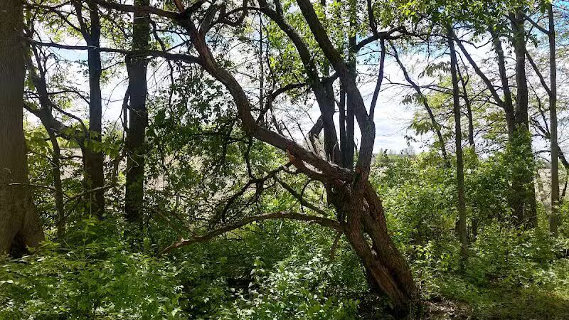 Boulder Park - Delaware, OH