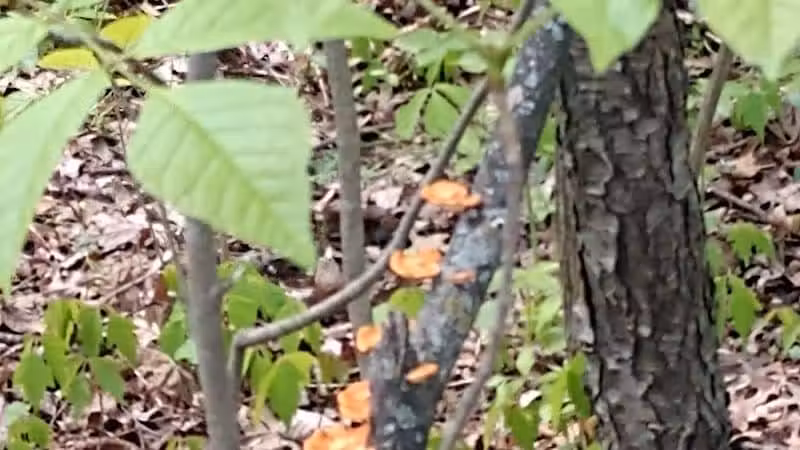 Boulder Park - Delaware, OH