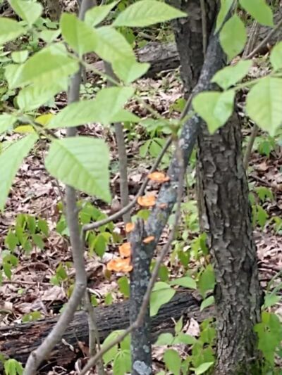 Boulder Park - Delaware, OH