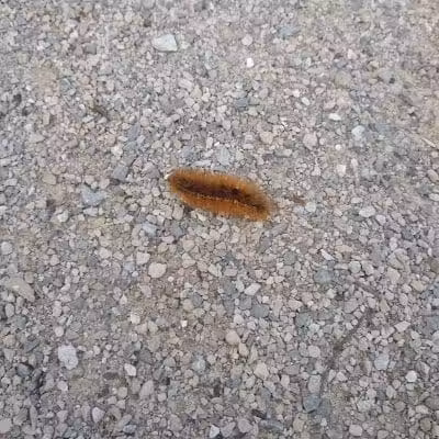 Boulder Park - Delaware, OH