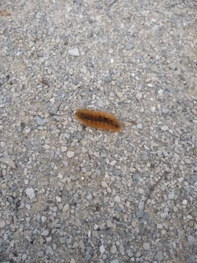 Boulder Park - Delaware, OH