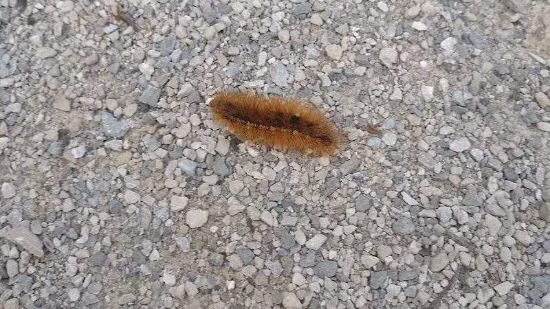 Boulder Park - Delaware, OH