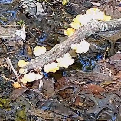 Boulder Park - Delaware, OH