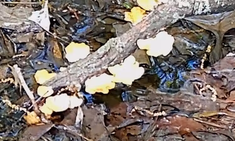 Boulder Park - Delaware, OH