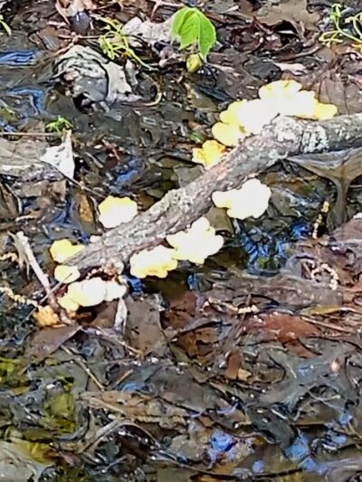 Boulder Park - Delaware, OH