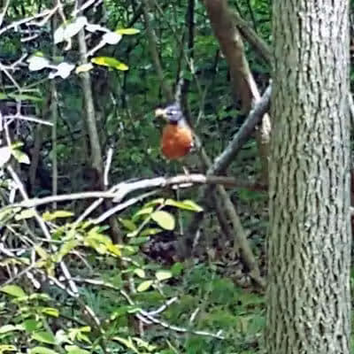 Boulder Park - Delaware, OH