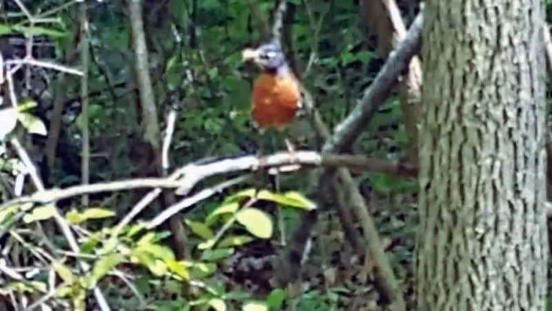 Boulder Park - Delaware, OH
