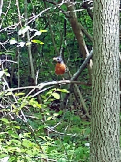 Boulder Park - Delaware, OH
