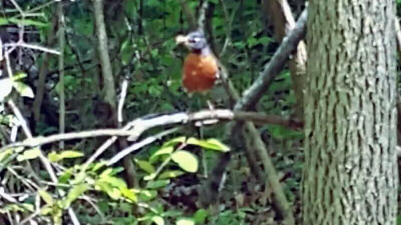 Boulder Park - Delaware, OH