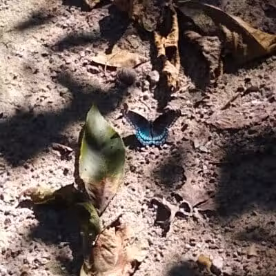 Boulder Park - Delaware, OH