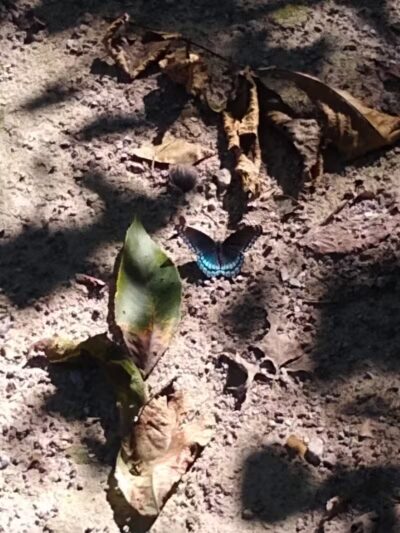 Boulder Park - Delaware, OH