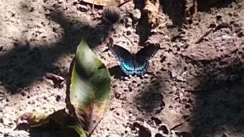 Boulder Park - Delaware, OH