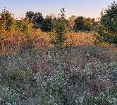 Cheshire Crossing Park - Delaware, OH