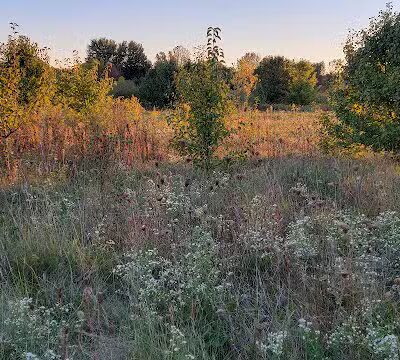 Cheshire Crossing Park - Delaware, OH