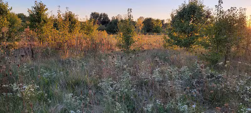 Cheshire Crossing Park - Delaware, OH