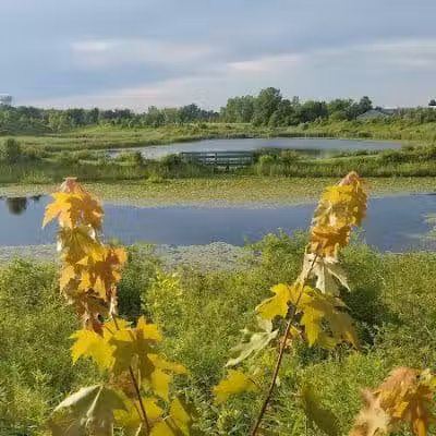 City of Delaware Mill Run Park - Delaware, OH