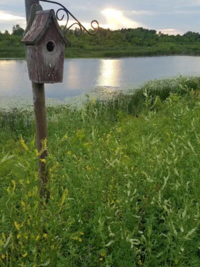 City of Delaware Mill Run Park - Delaware, OH