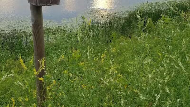 City of Delaware Mill Run Park - Delaware, OH