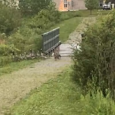 City of Delaware Mill Run Park - Delaware, OH