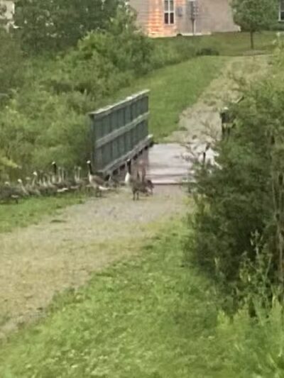 City of Delaware Mill Run Park - Delaware, OH