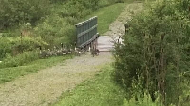 City of Delaware Mill Run Park - Delaware, OH