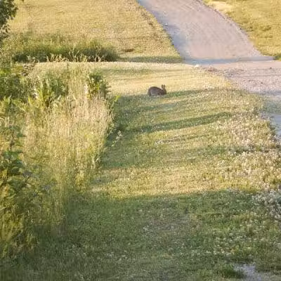 City of Delaware Mill Run Park - Delaware, OH