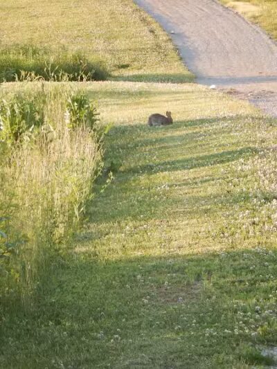 City of Delaware Mill Run Park - Delaware, OH