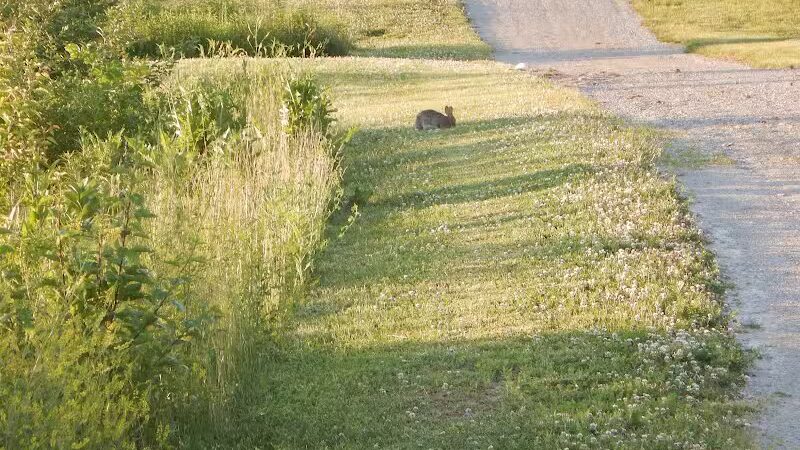 City of Delaware Mill Run Park - Delaware, OH