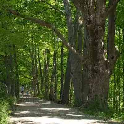 Deer Haven Park - Delaware, OH