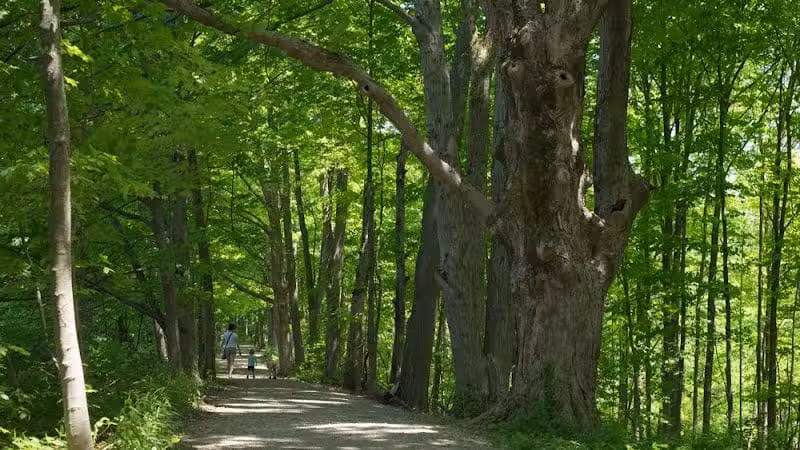Deer Haven Park - Delaware, OH