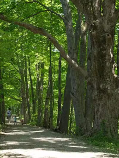 Deer Haven Park - Delaware, OH