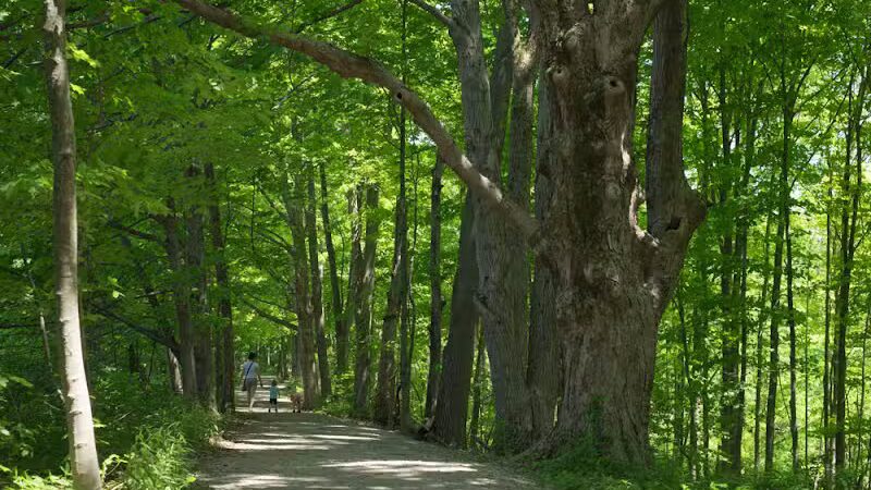Deer Haven Park - Delaware, OH