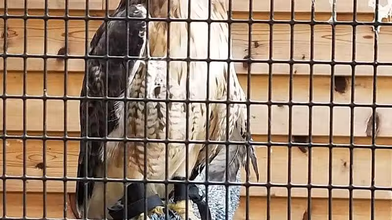 Deer Haven Park - Delaware, OH